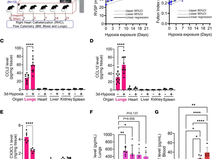 Article figure from The Journal of clinical investigation (2025)