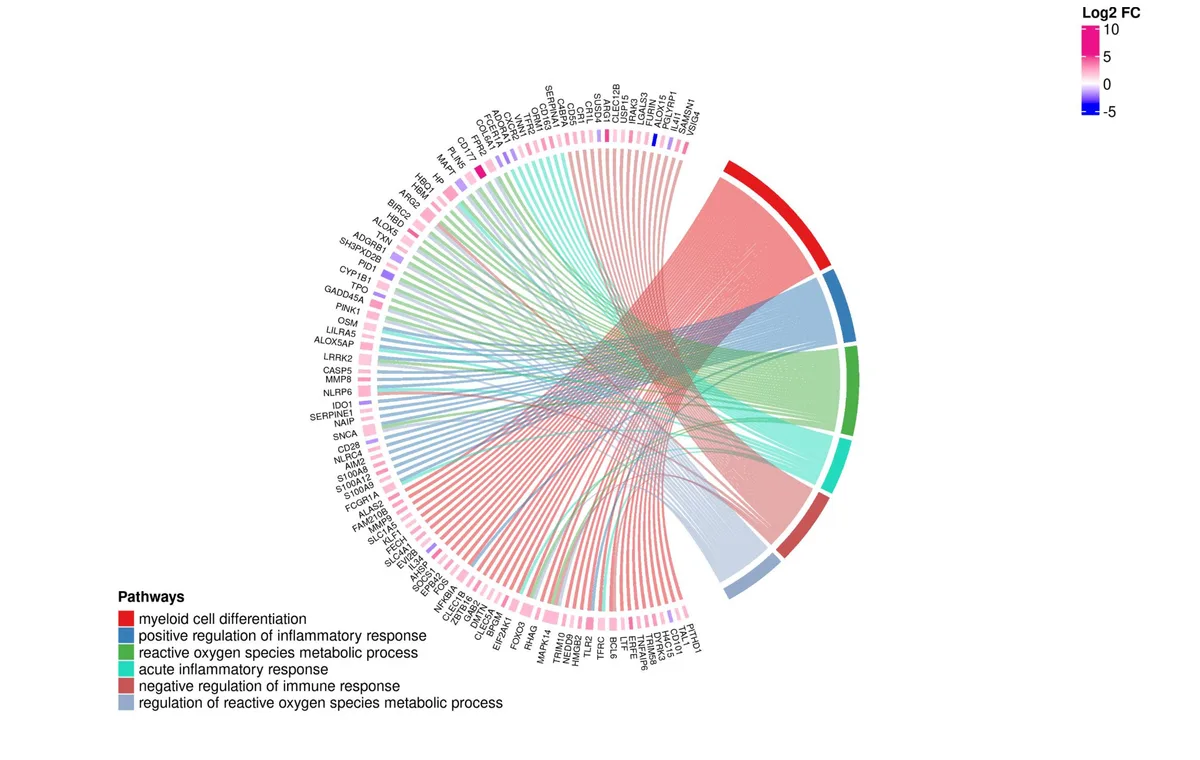 Scientific chord diagram representing integrative multi-omics relationships